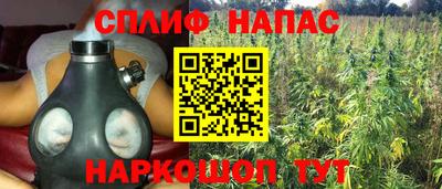 дурь Будённовск
