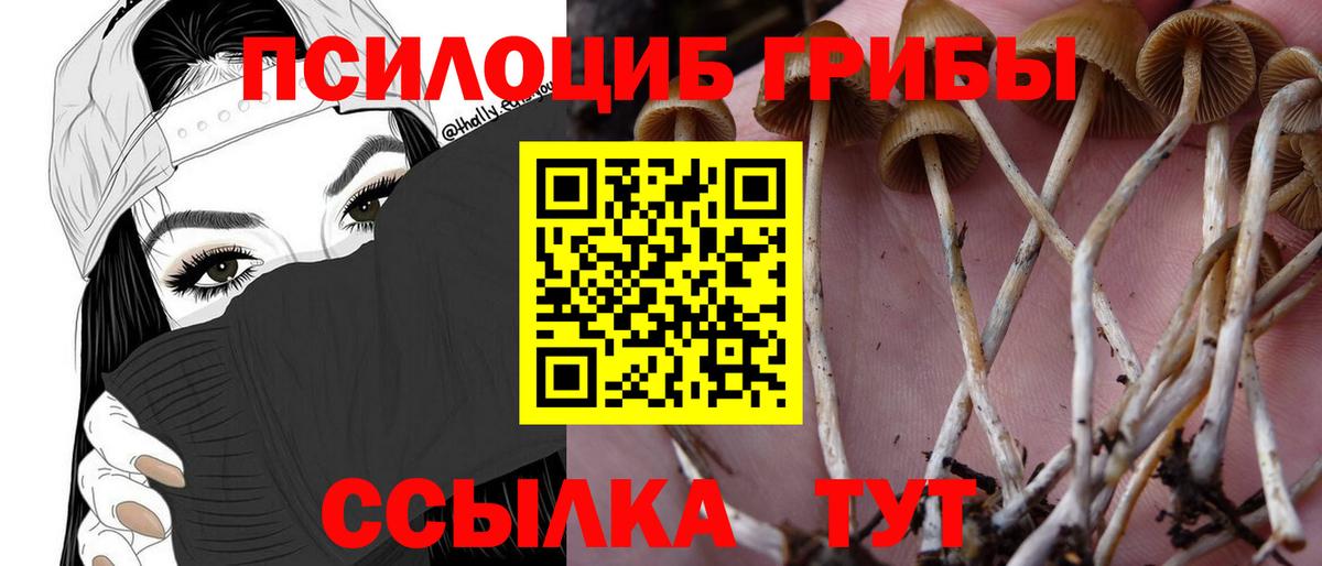 где купить наркотик  Вход с VPN  Псилоцибиновые грибы ЛСД  Усинск  Галлюциногенные грибы Psilocybine cubensis 